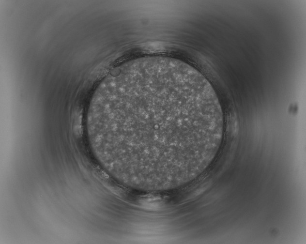 X0000113940267200911061248