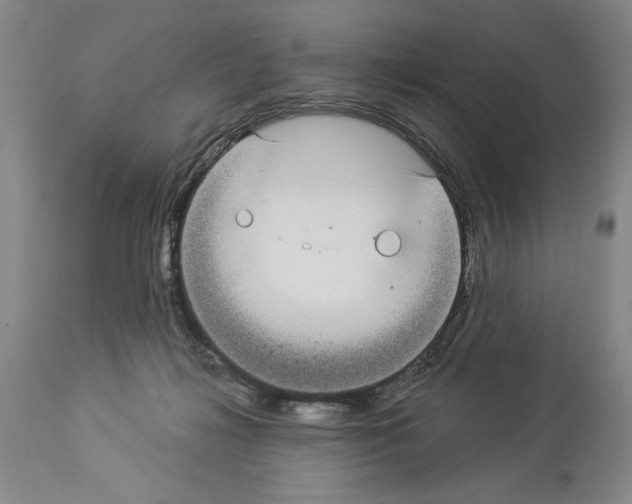 X0000113940268200911061248