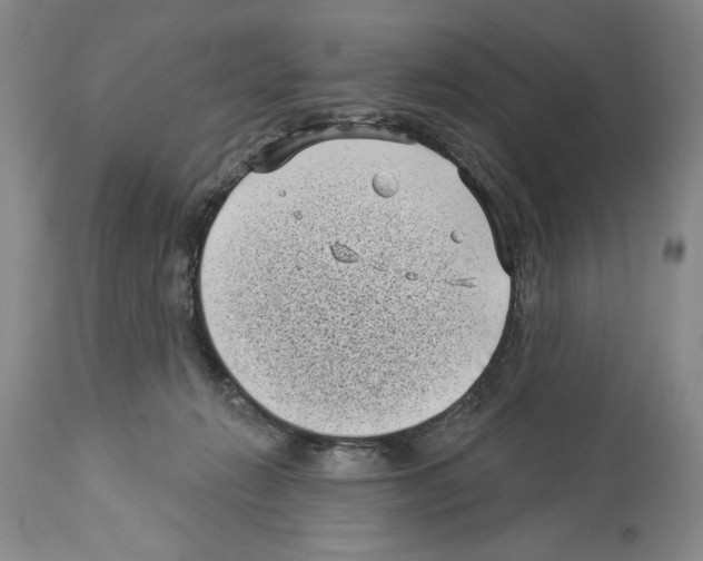 X0000113940270200911061248