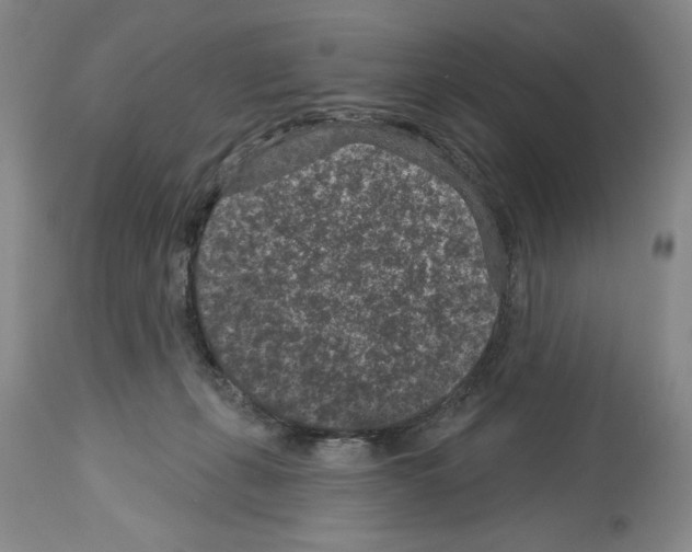 X0000113940271200911061248