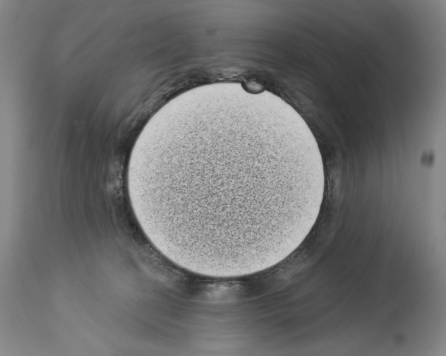 X0000113940274200911061248
