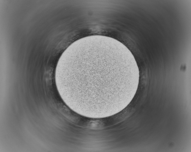 X0000113940275200911061248