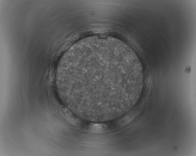 X0000113940277200911061248
