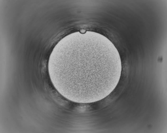 X0000113940278200911061248