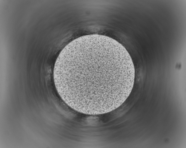 X0000113940279200911061248