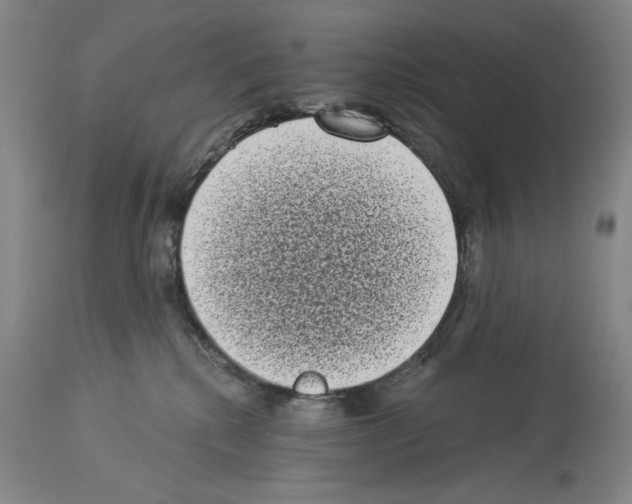 X0000113940280200911061248