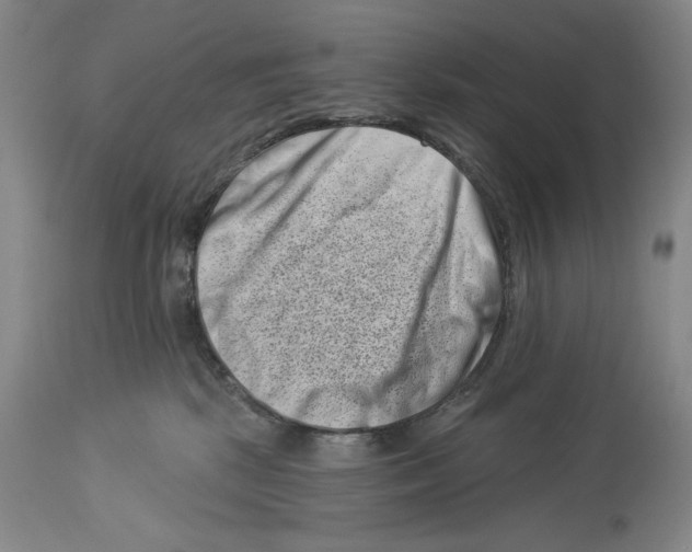 X0000113940281200911061248