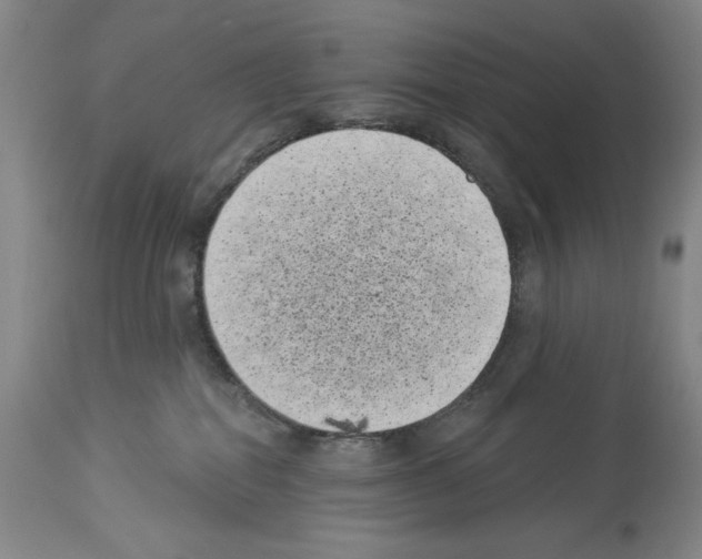 X0000113940282200911061248