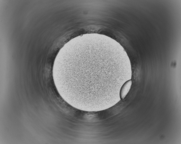 X0000113940283200911061248