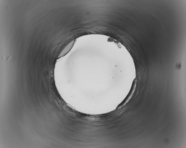 X0000113940284200911061248