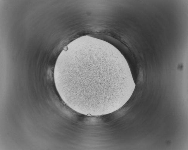 X0000113940286200911061248