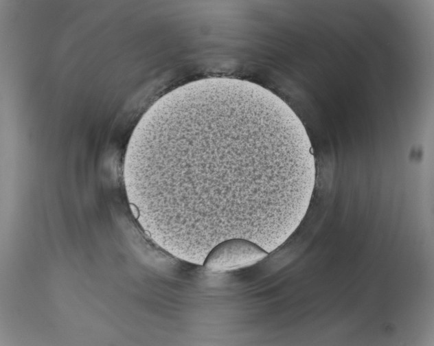 X0000113940287200911061248