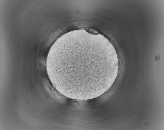 X0000113940288200911061248