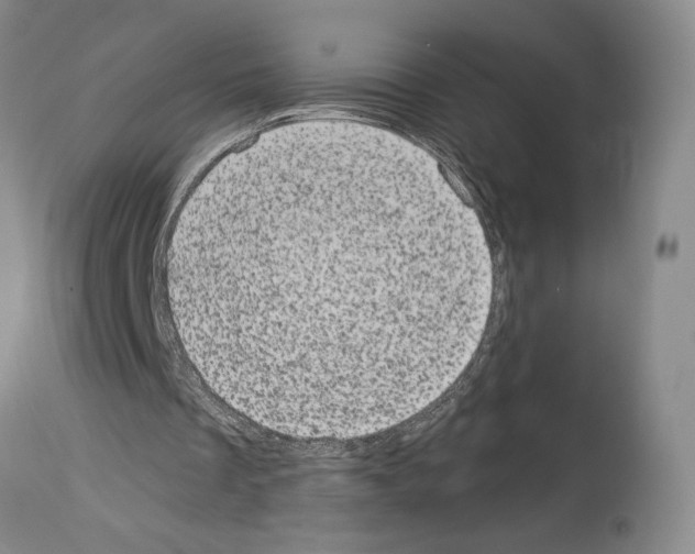 X0000113940289200911061247