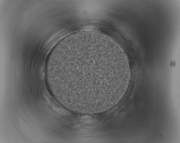 X0000113940290200911061247