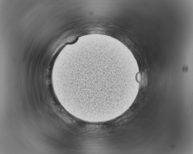 X0000113940291200911061247
