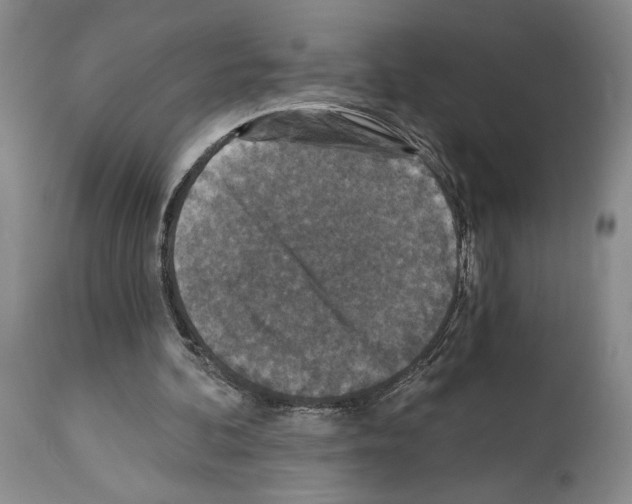 X0000113940292200911061247