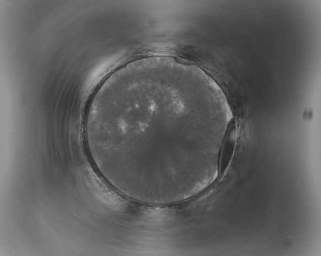 X0000113940293200911061247