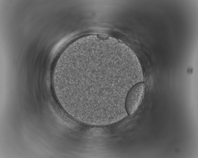 X0000113940294200911061247