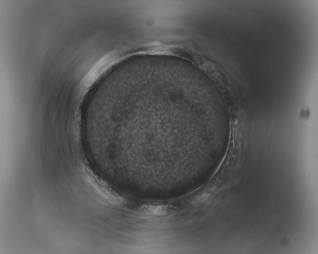 X0000113940295200911061247