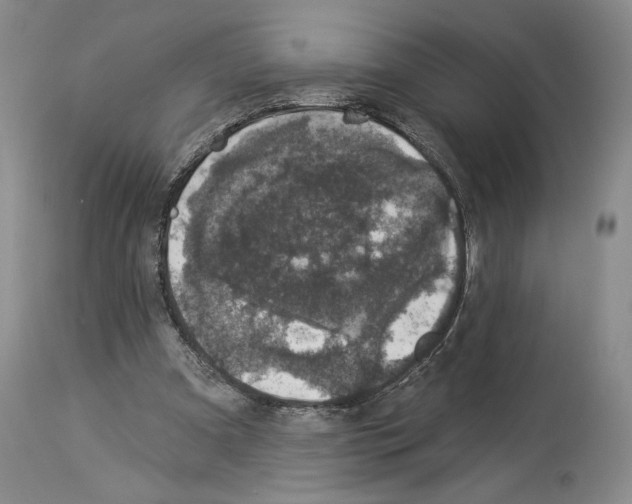 X0000113940297200911061247
