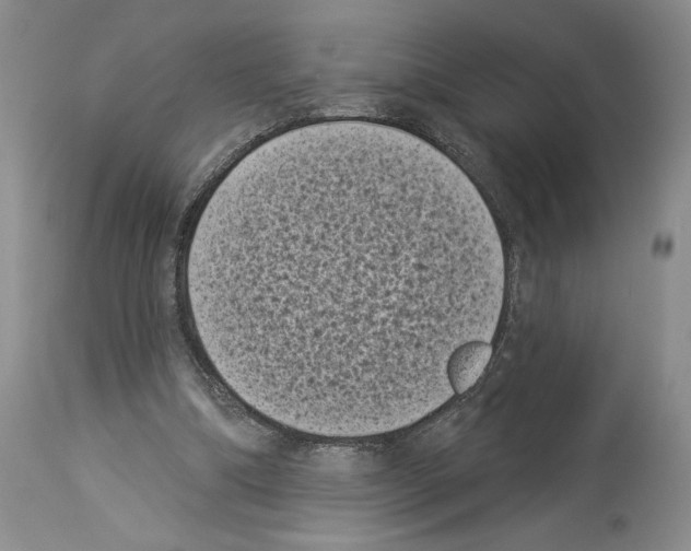 X0000113940298200911061247