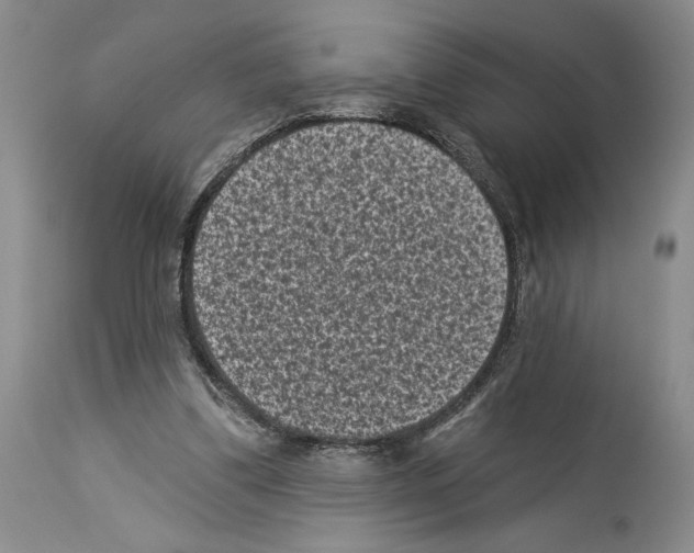 X0000113940299200911061247