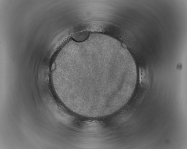 X0000113940300200911061247
