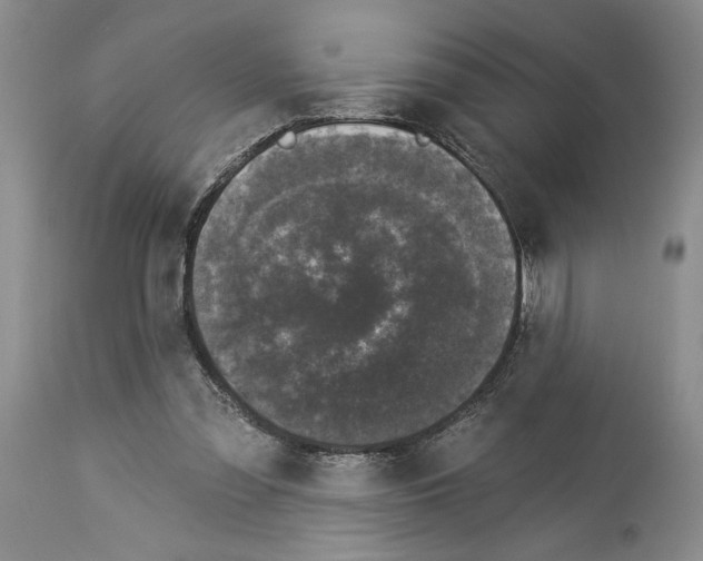 X0000113940301200911061247