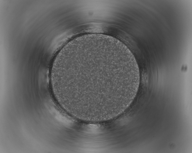 X0000113940302200911061247