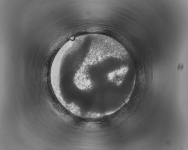X0000113940303200911061247