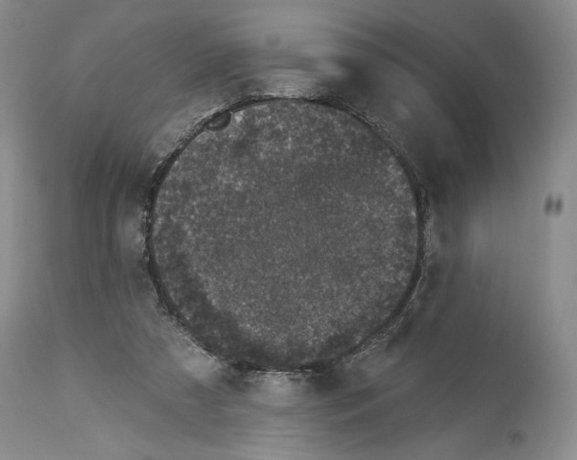 X0000113940305200911061247