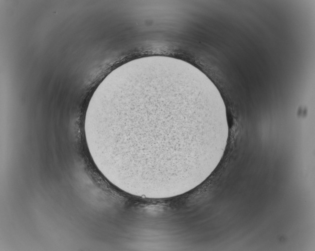 X0000113940306200911061247
