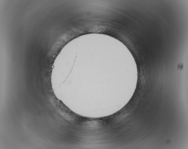 X0000113940307200911061247