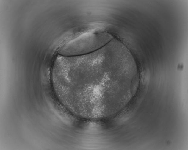 X0000113940308200911061247