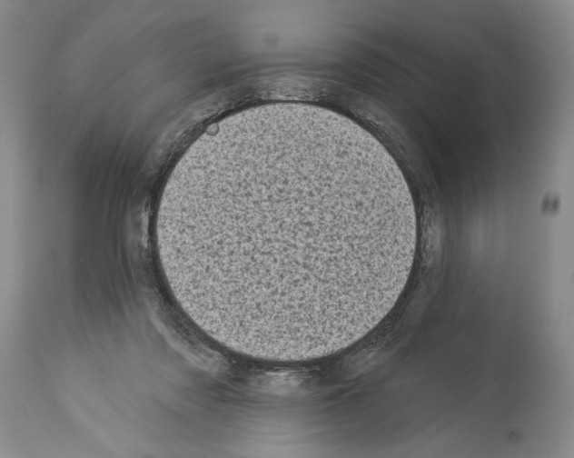 X0000113940310200911061247