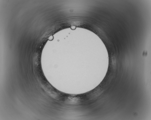 X0000113940311200911061247