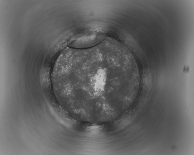 X0000113940312200911061247