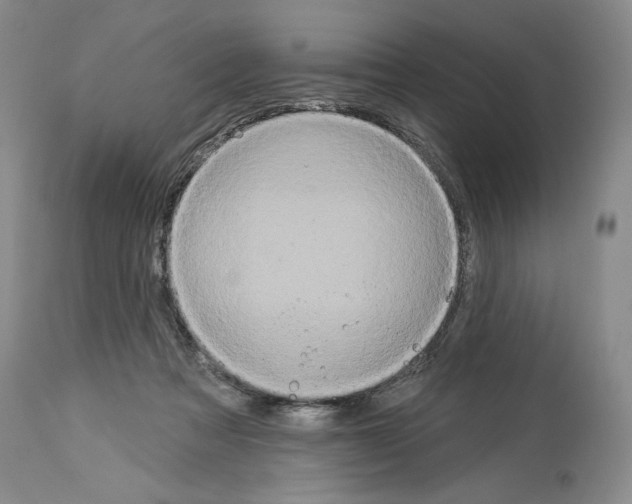 X0000113940313200911061247