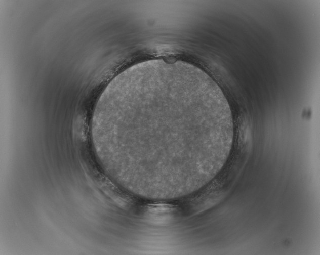X0000113940316200911061247