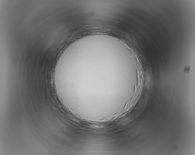 X0000113940317200911061247