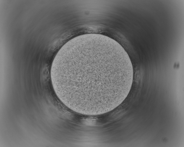 X0000113940318200911061247