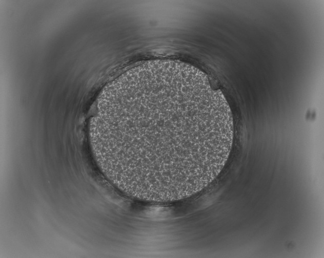 X0000113940319200911061247