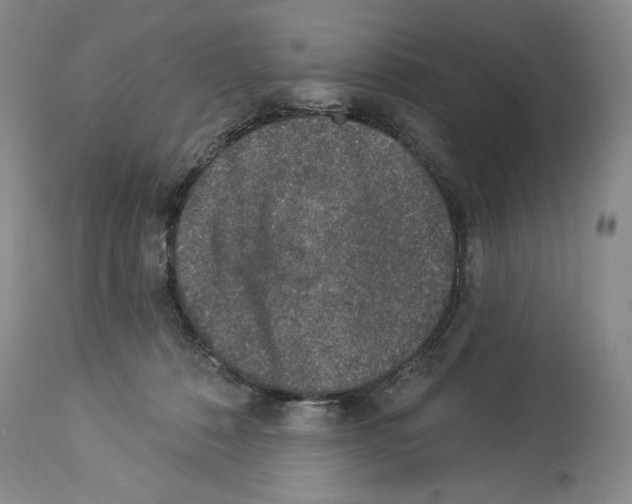 X0000113940320200911061247