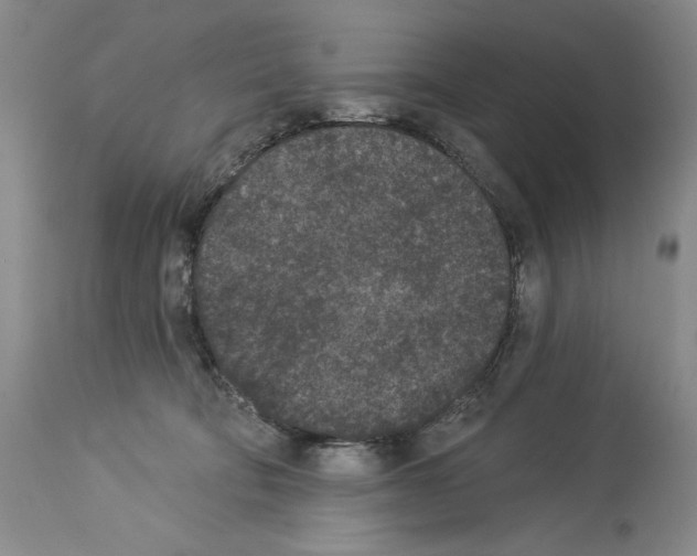 X0000113940322200911061247
