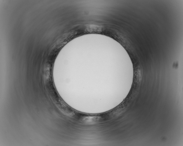 X0000113940323200911061247