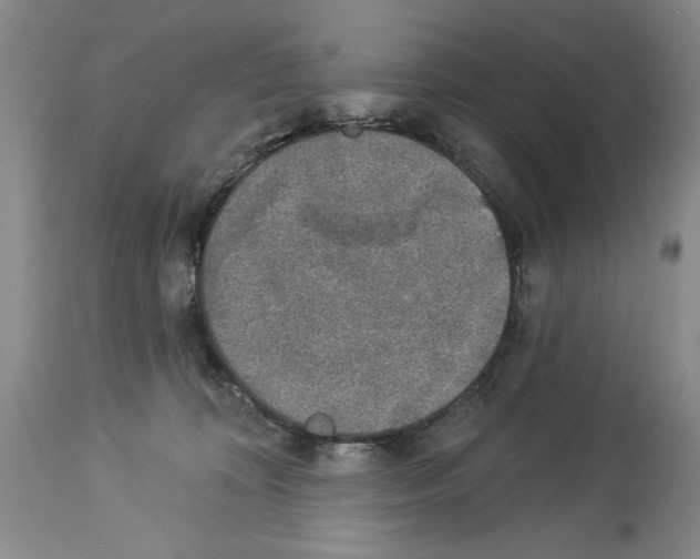 X0000113940324200911061247