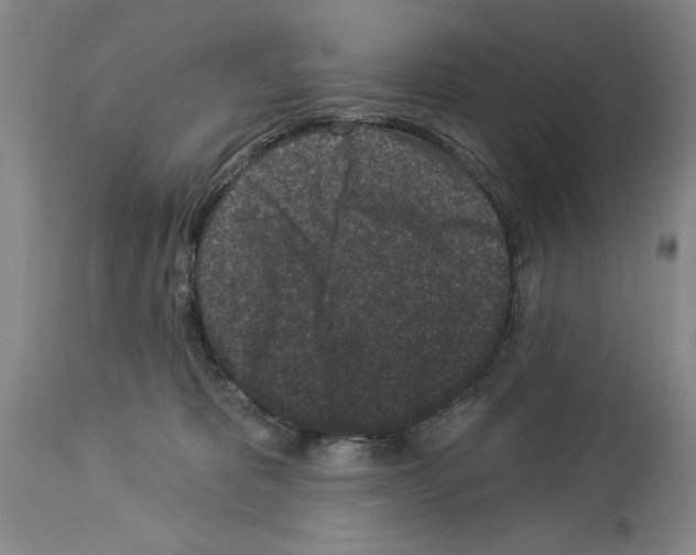 X0000113940325200911061247