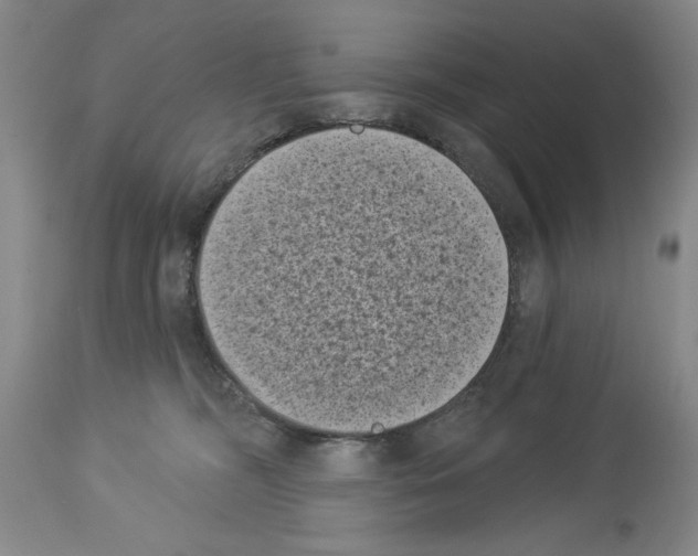 X0000113940326200911061247