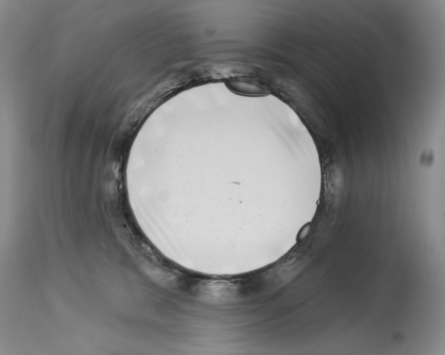 X0000113940327200911061247